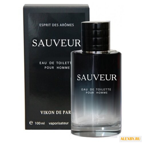 Новая Заря Sauveur