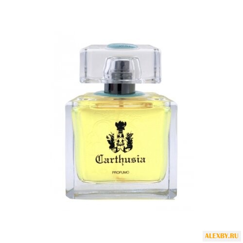 Carthusia Via Camerelle