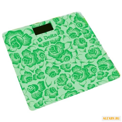 Весы DELTA D-9221