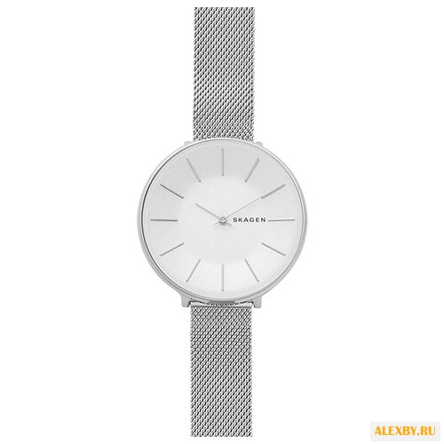 Наручные часы SKAGEN SKW2687