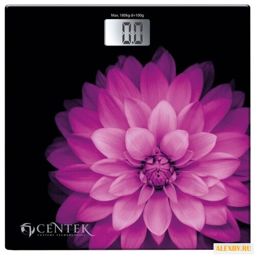 Весы CENTEK CT-2417