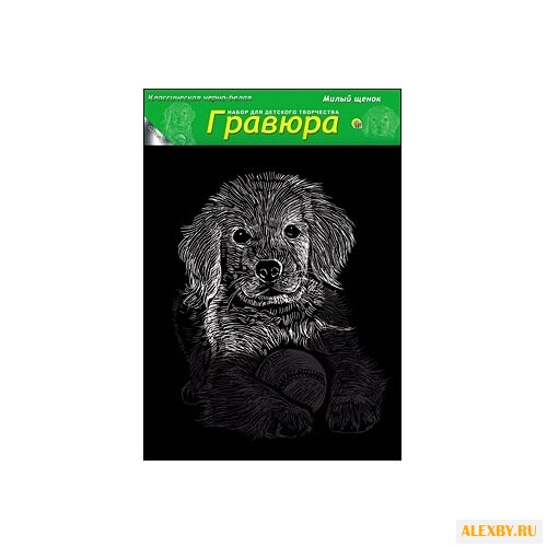 Гравюра Рыжий кот Милый щенок в