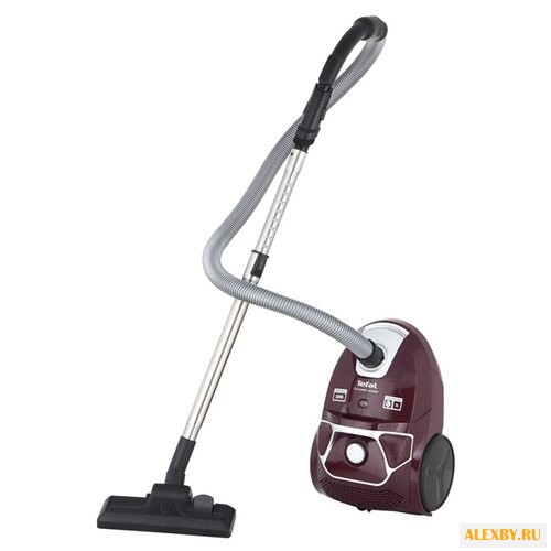 Пылесос Tefal TW3999