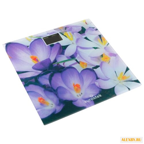 Весы Eurostek ЕВS-2605