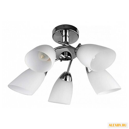 Top Light Carmel TL3600X-05CH