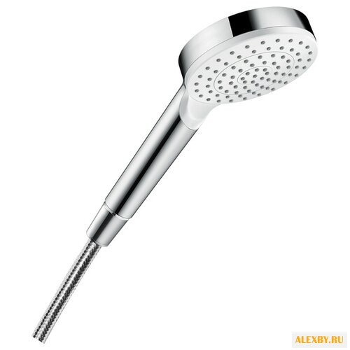 Лейка для душа Hansgrohe