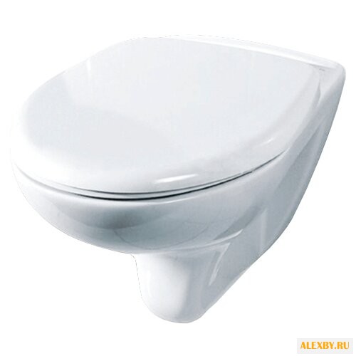 Унитаз ROSA Элеганс подвесной