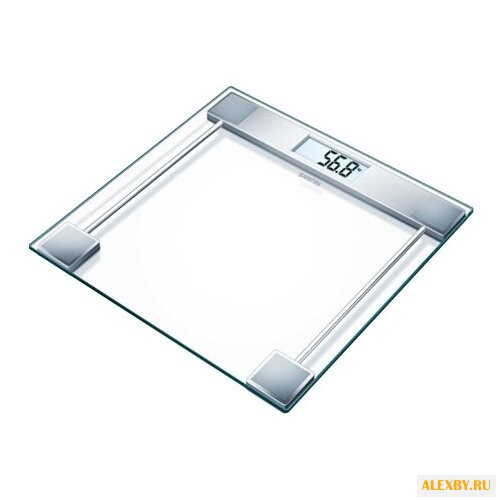 Весы Sanitas SGS 06