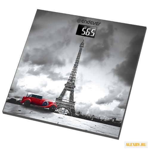 Весы ENDEVER FS-542