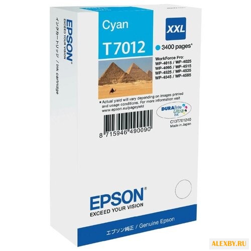 Картридж Epson C13T70124010