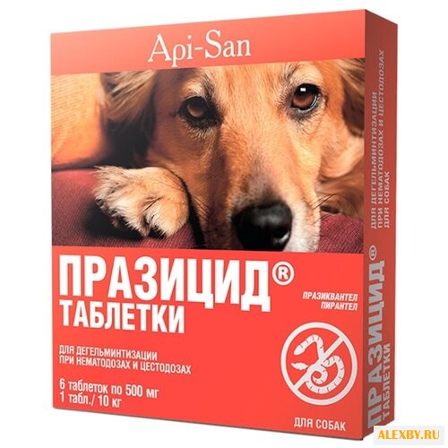 Api-San Празицид таблетки для