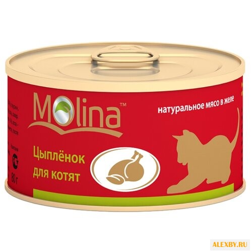 Корм для кошек Molina Консервы