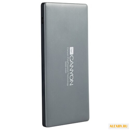 Аккумулятор Canyon CNS-TPBP5