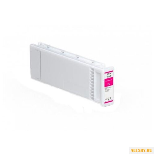 Картридж Epson C13T800300