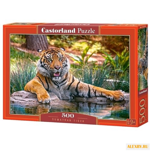 Пазл Castorland Sumatran