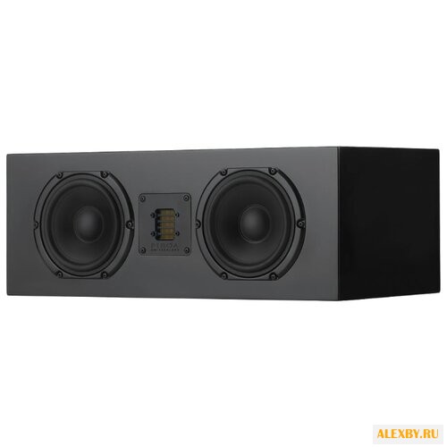 Акустическая система Piega