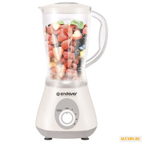 Стационарный блендер ENDEVER