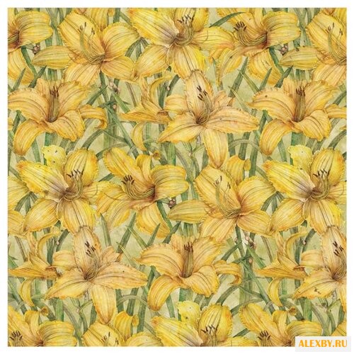 Бумага K&Company 31х31 см 25