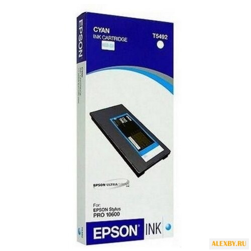 Картридж Epson C13T549200