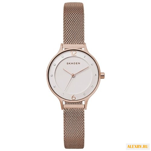 Наручные часы SKAGEN SKW2650