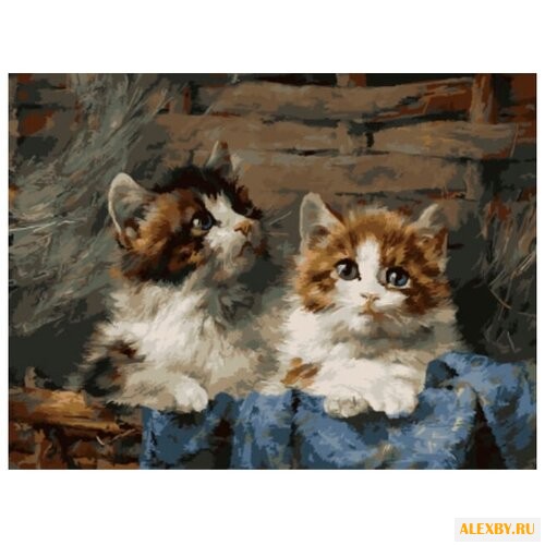 Цветной Картина по номерам