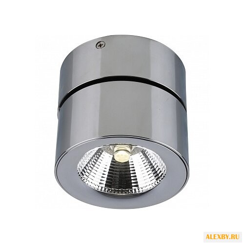 Divinare Urchin 1295 02 PL-1