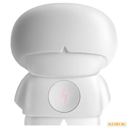 Аккумулятор Xoopar Xboy