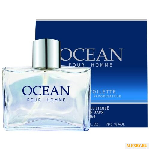 Новая Заря Ocean