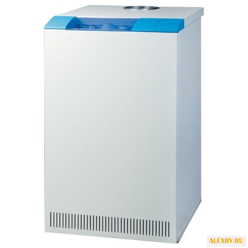 Газовый котел Thermona THERM 45