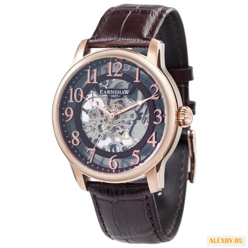 Наручные часы EARNSHAW ES-8062-07