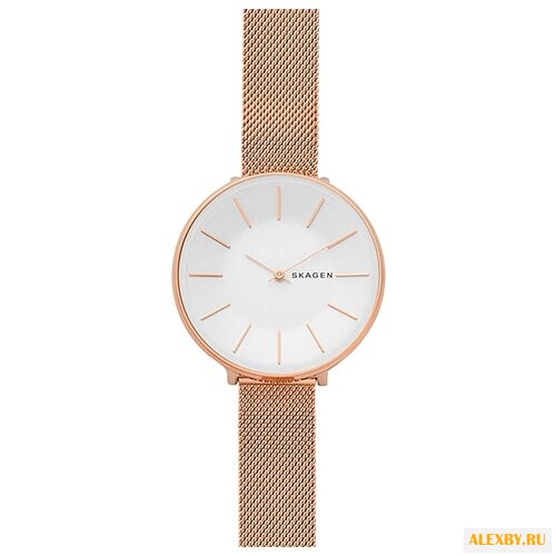 Наручные часы SKAGEN SKW2688