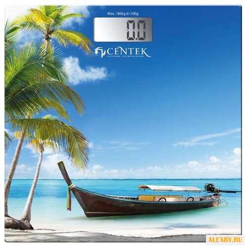 Весы CENTEK CT-2419