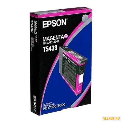 Картридж Epson C13T543300