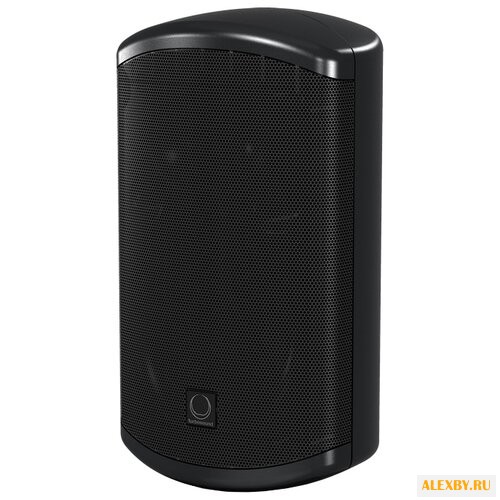 Акустическая система Turbosound