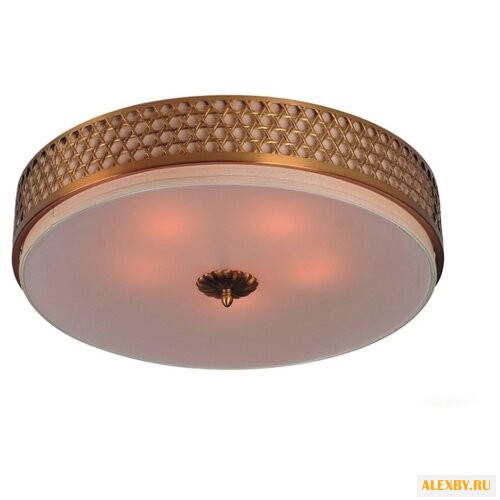 Divinare Biscotto 4005 01 PL-3