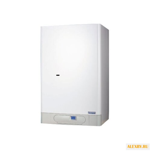 Газовый котел Thermona THERM