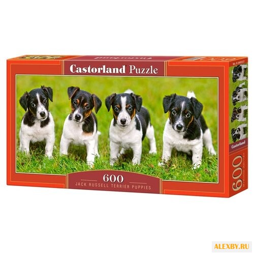 Пазл Castorland Jack Russell