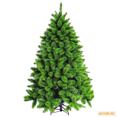 SNOWMEN Сосна Кавказская 150