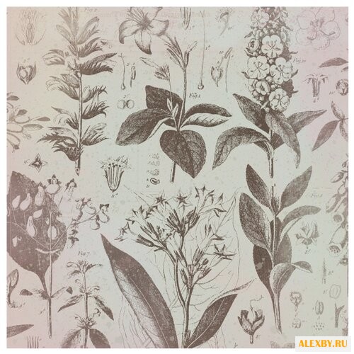 Бумага K&Company 31х31 см 12