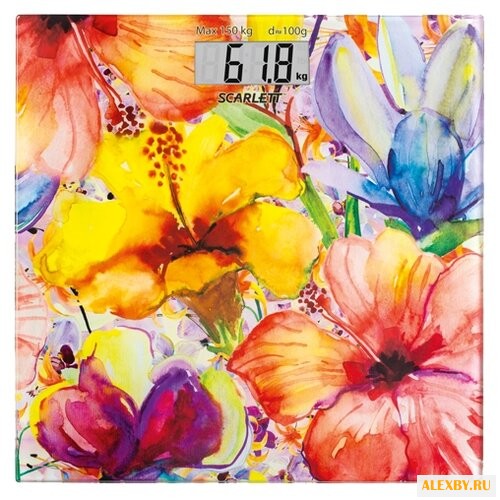 Весы Scarlett SC-BS33E071