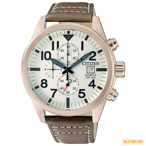 Наручные часы CITIZEN AN3623-02A