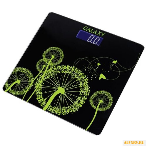 Весы Galaxy GL4802