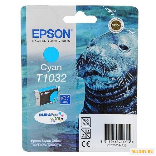 Картридж Epson C13T10324A10