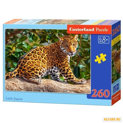 Пазл Castorland Little Jaguar