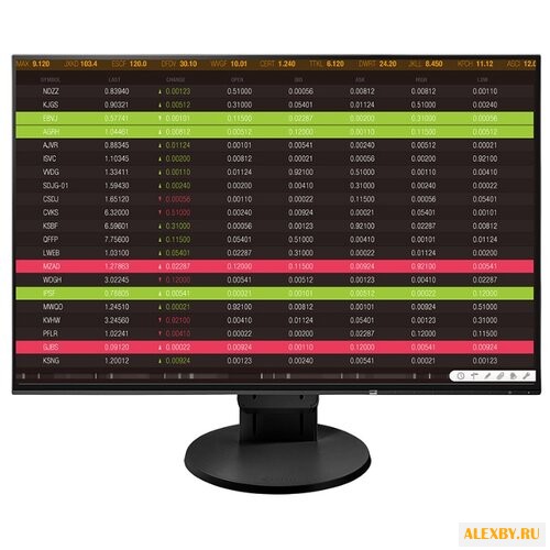 Монитор Eizo FlexScan EV2456