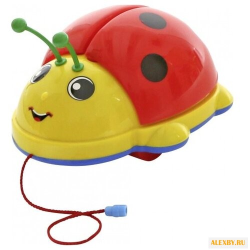 Каталка-игрушка Molto Божья