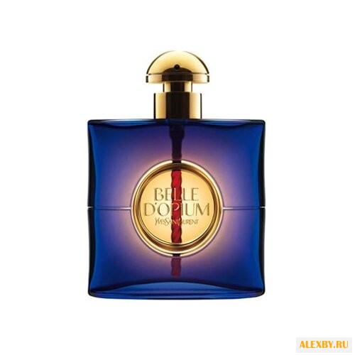 Yves Saint Laurent Belle