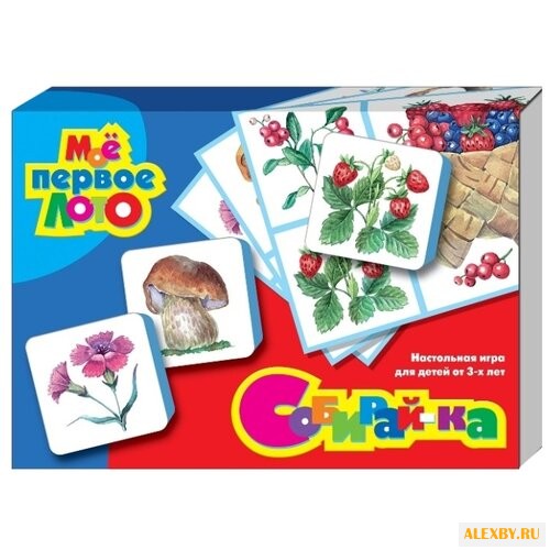 Настольная игра Десятое