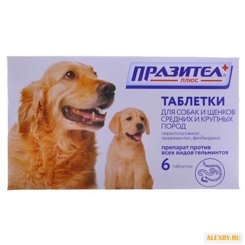 СКиФФ Празител плюс таблетки