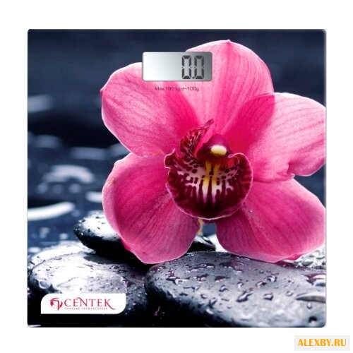 Весы CENTEK CT-2421 Orchid